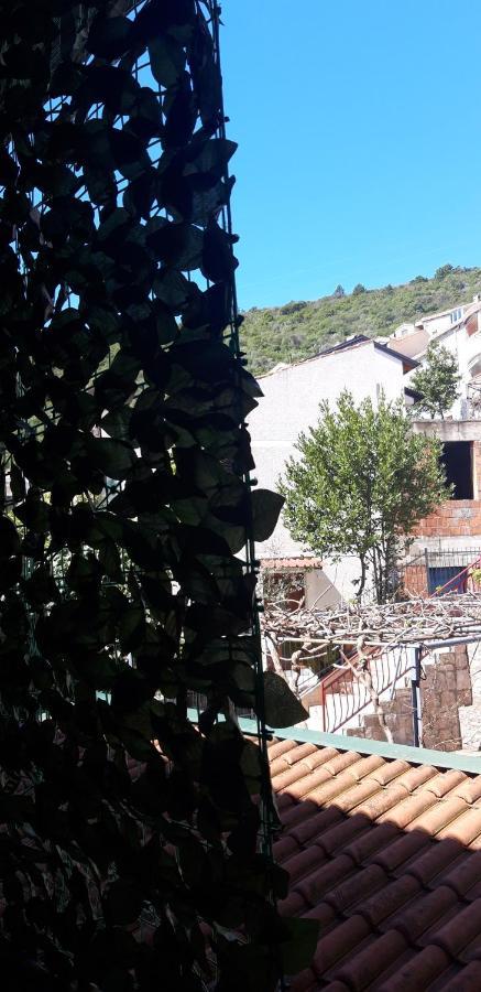 Apartments Krapina Lux Budva Exterior photo